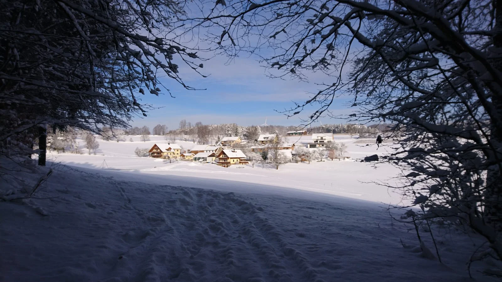 Winterliches Lochau