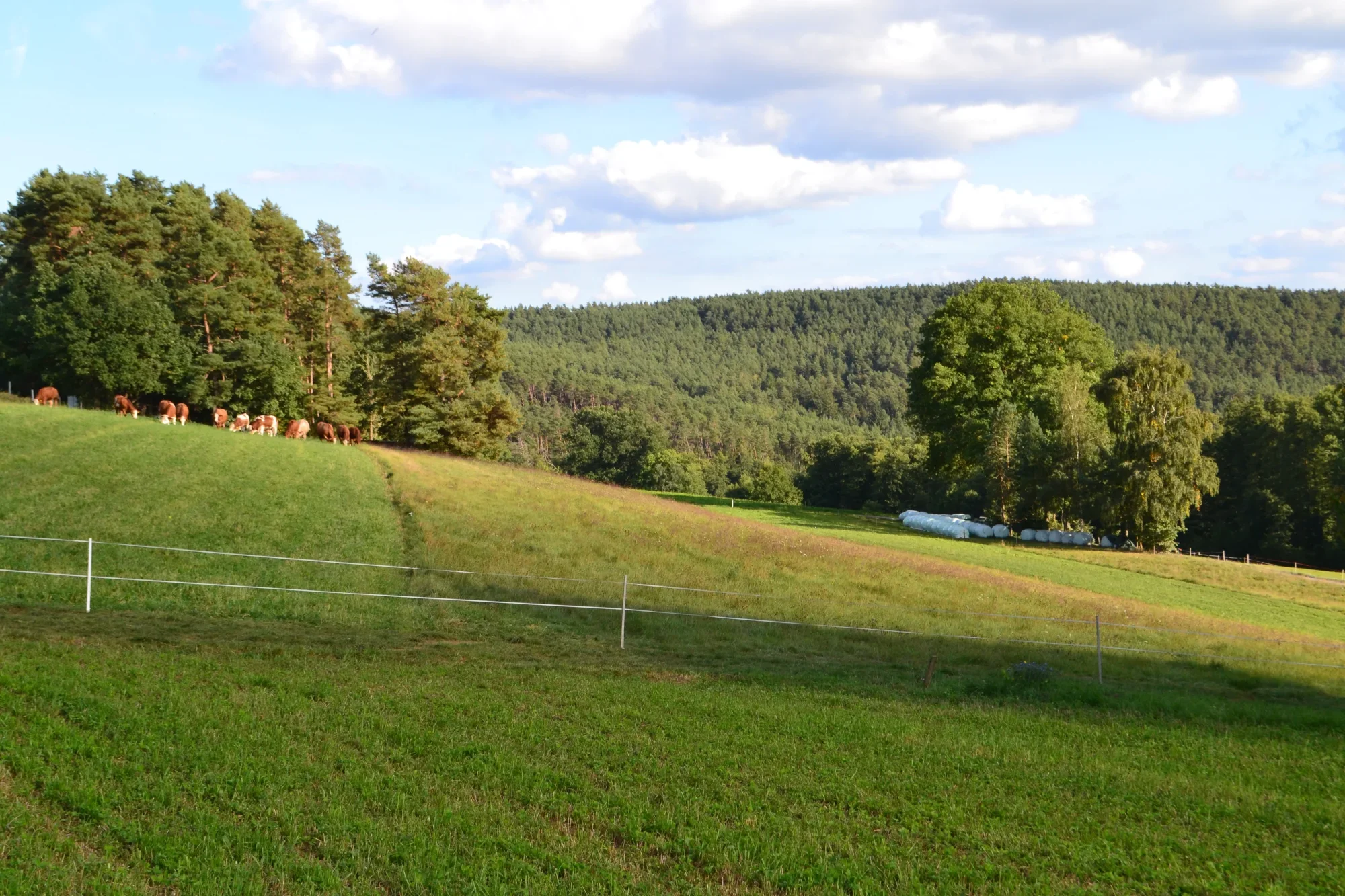 Panorama - Naturblick